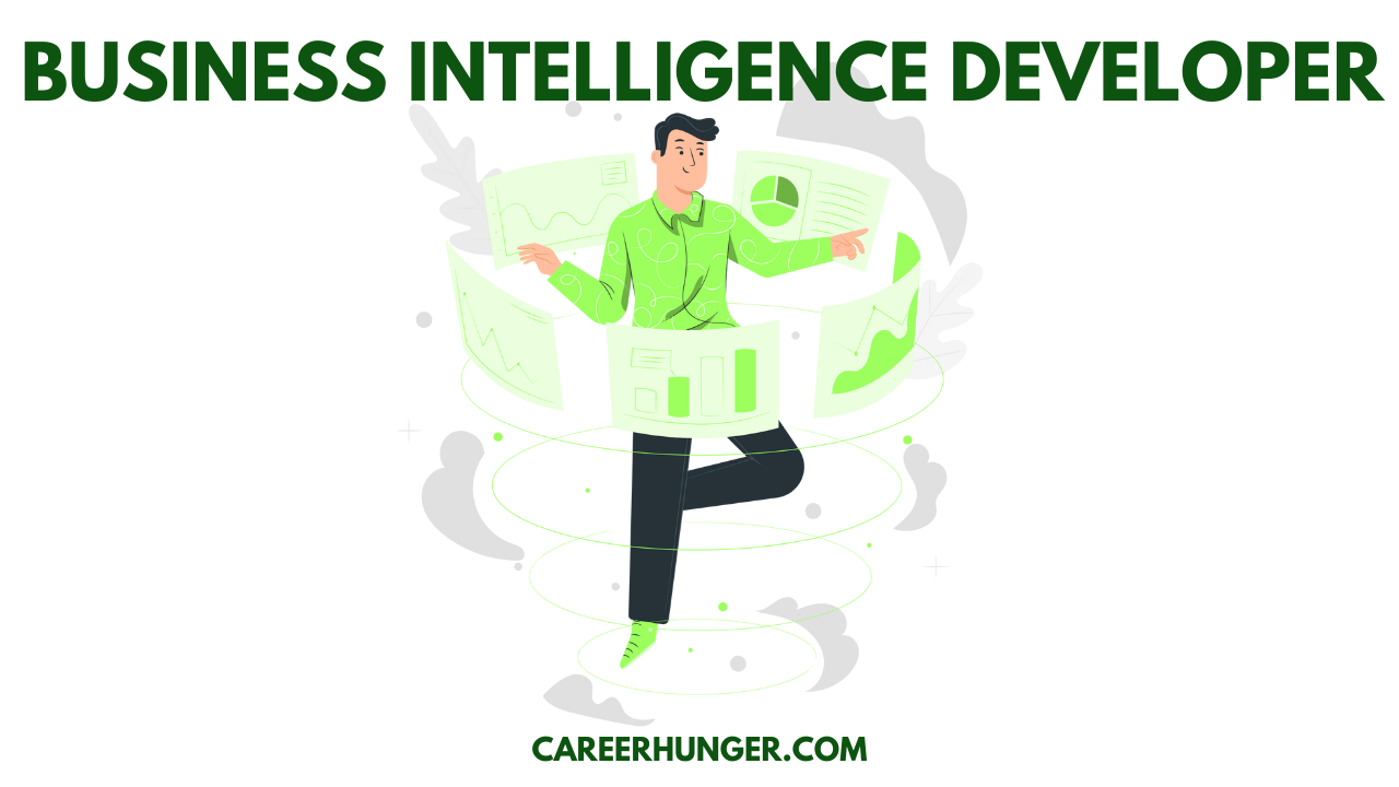 Business Intelligence Developer