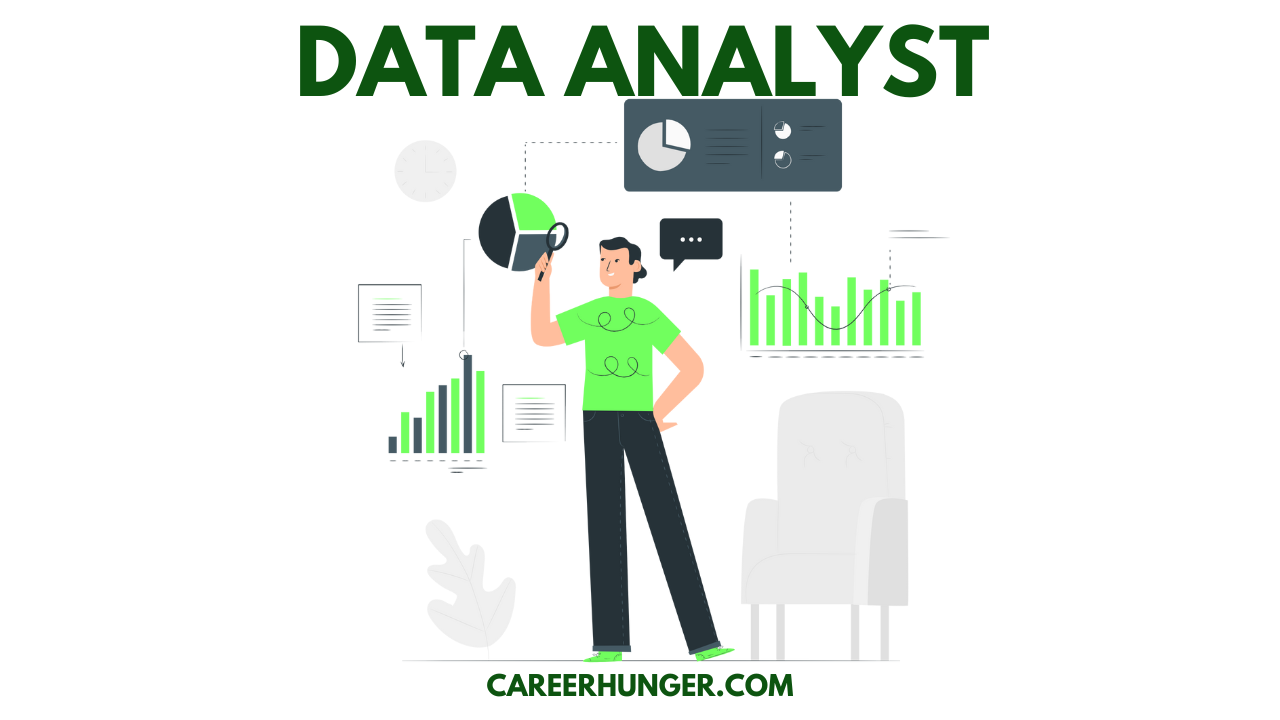 Data Analyst