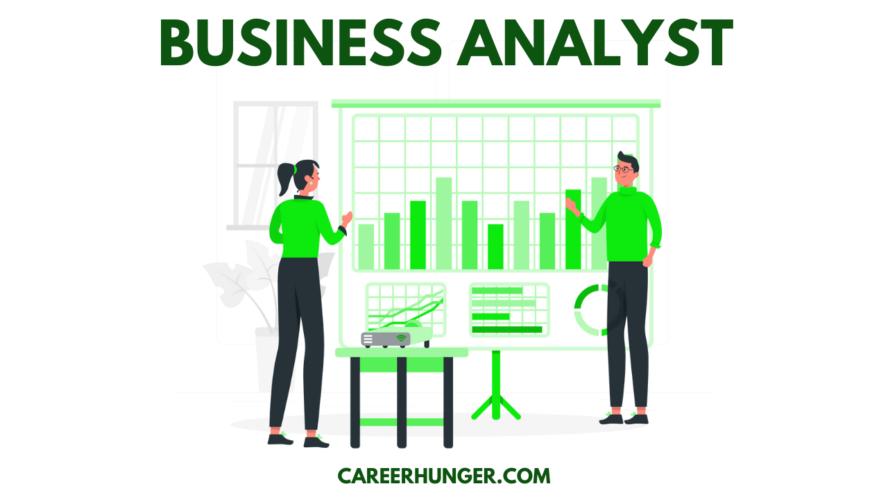 Business Analyst