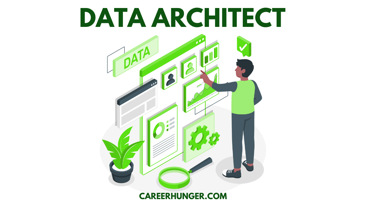 Data Architect