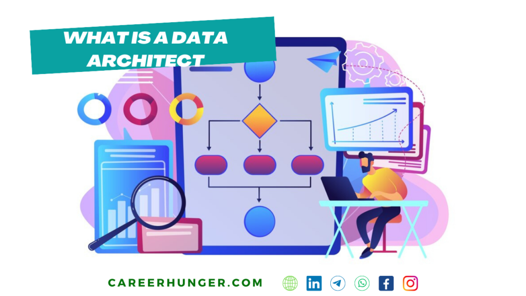 What is a Data Architect