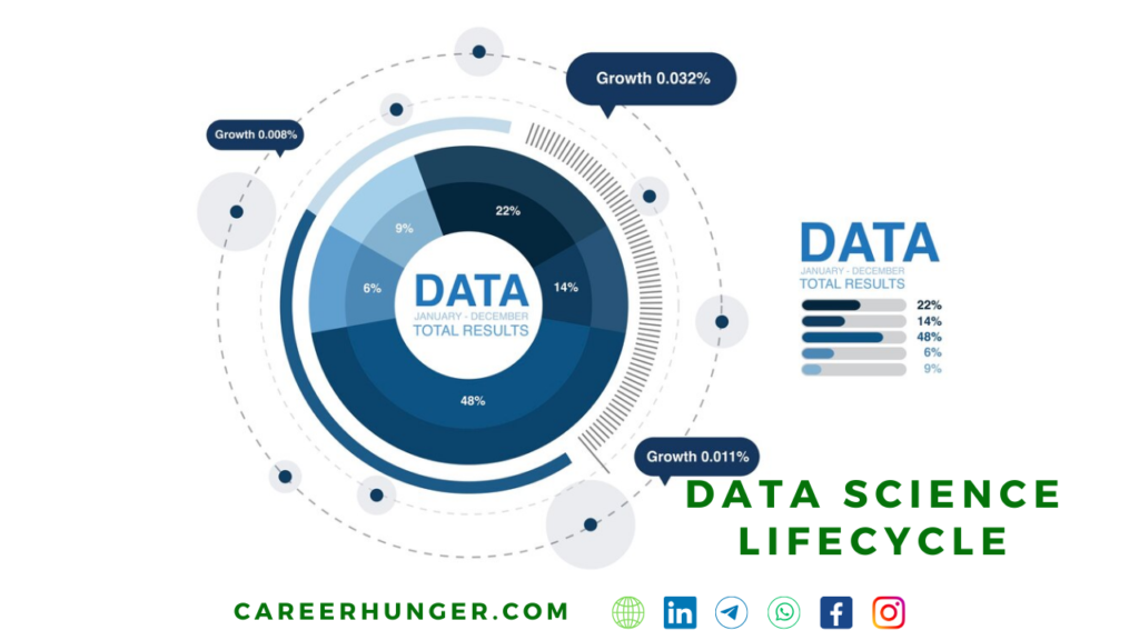 The Data Science Lifecycle