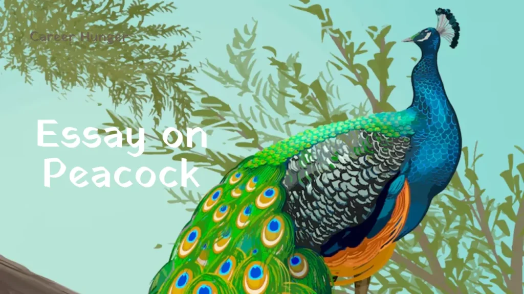 Essay on Peacock