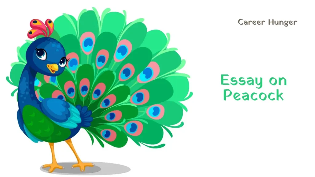 Peacock Essay