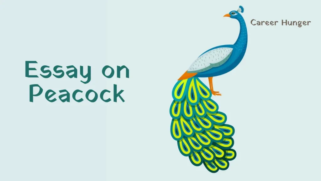 Peacock Essay English